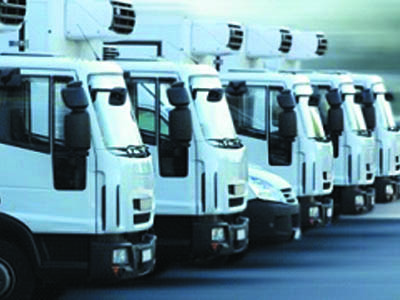 Armazéns Transporte Câmaras Frias Sementes SP Imagem